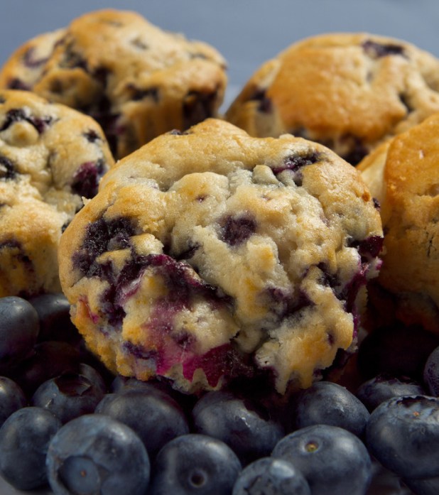 canstockphoto4117783