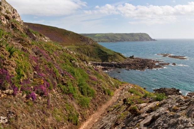 canstockphoto11024898