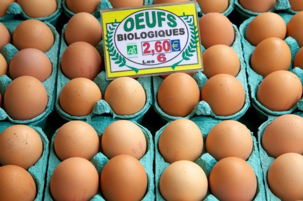 canstockphoto4241177-1