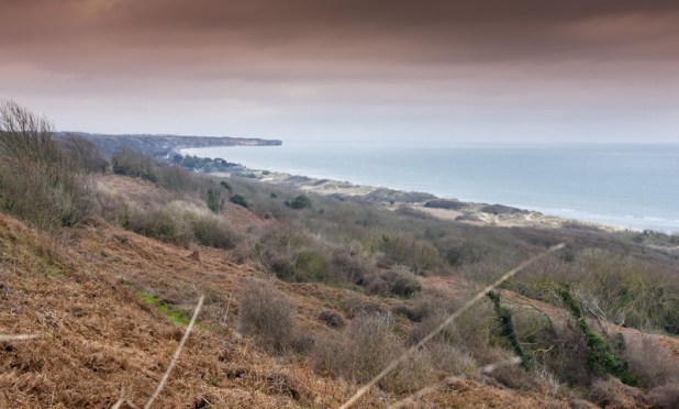 canstockphoto6500974