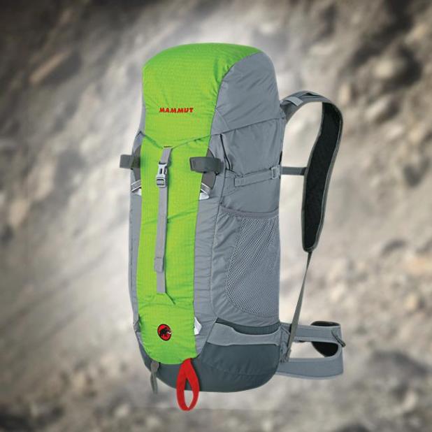 404776_10151319074999582_948136812_n