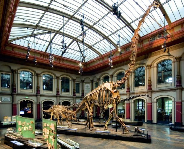 305410_10150331895383347_2013908371_n