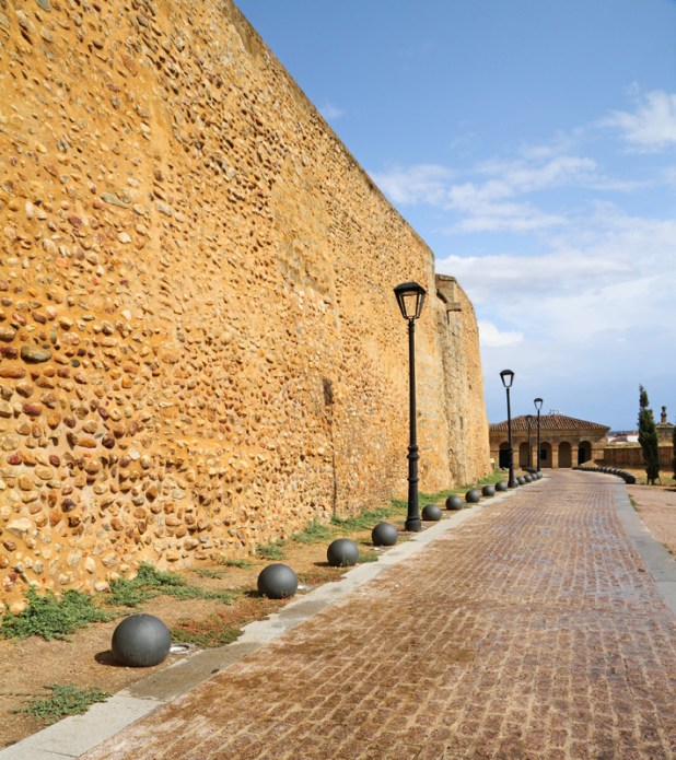 canstockphoto8501955