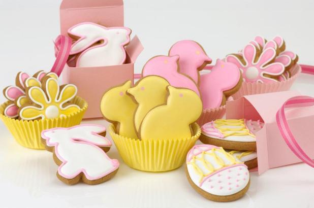 419313_10150632748285782_1007832194_n