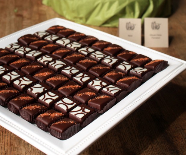 chocolate_theo_sized