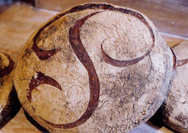 522615_10151411316081719_925563866_n