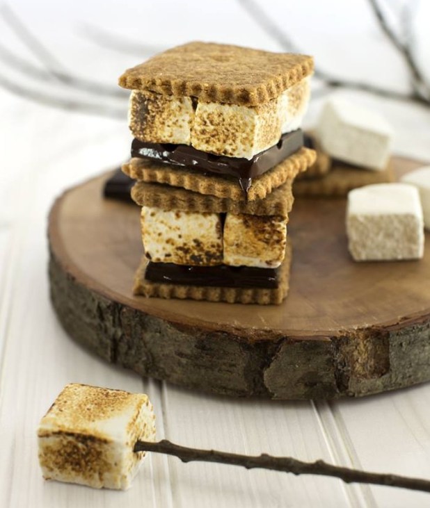 264529_10151412124386463_876407147_n