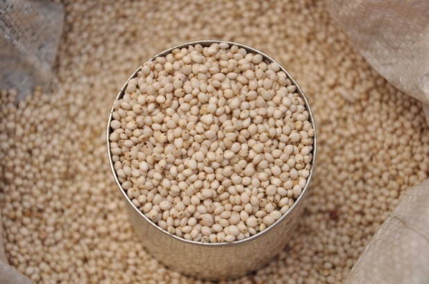 canstockphoto3614061