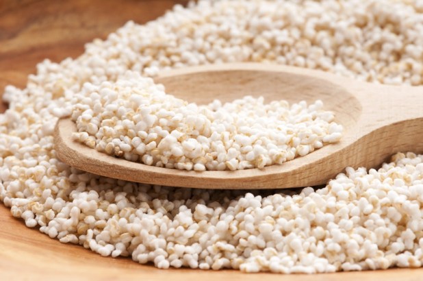 canstockphoto9574893