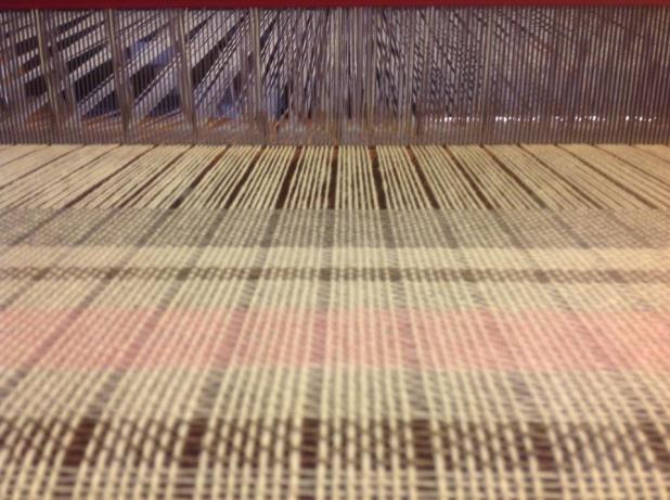 734640_349789778463929_1763443419_n