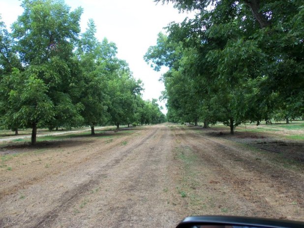 180644_144363315623363_1428754_n