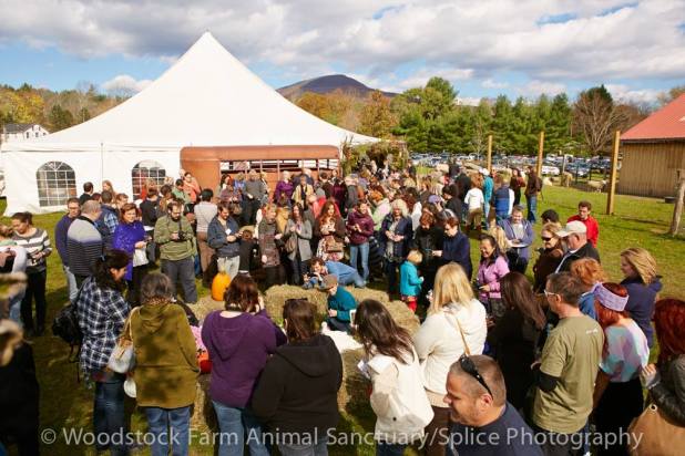 1400398_10151965990030569_1960194036_o