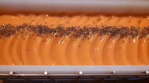 1655924_283409038476766_654057558_n