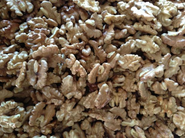 177790_246942148772043_1883027735_o