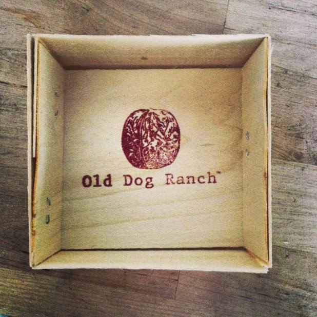 945050_333303586802565_745688774_n