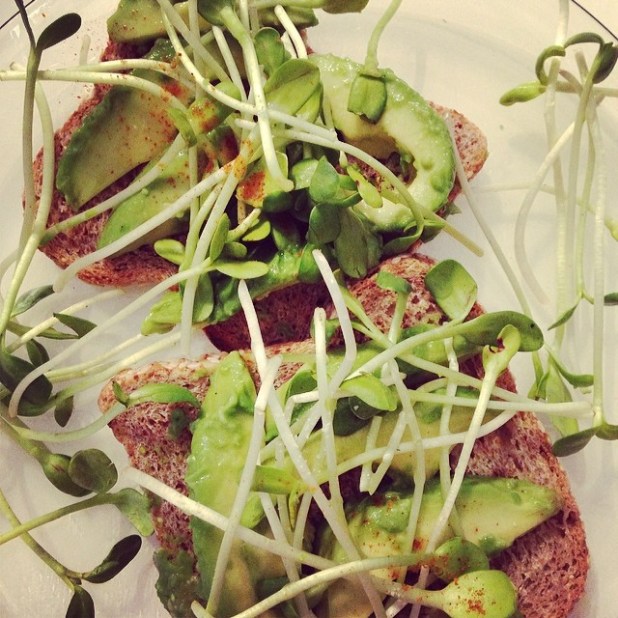 1146552_434638133348859_1643507869_n