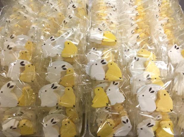 Skipper_and_Sunny_Veeps