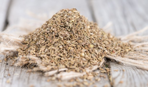 canstockphoto20324747