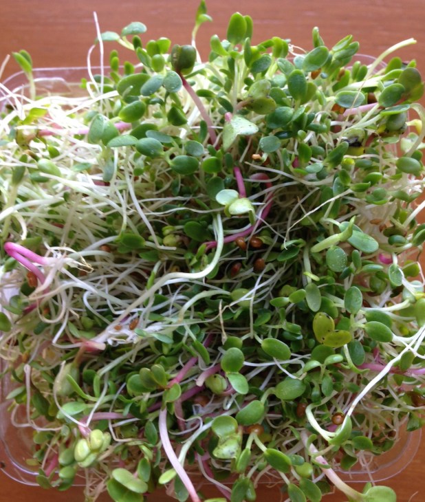 Fullei_Fresh_Spicy_Sprouts