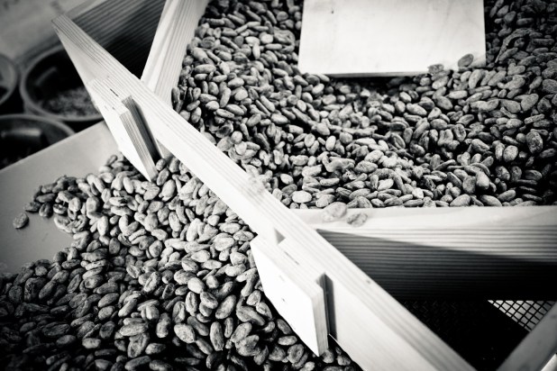 Dick_Taylor_Craft_Chocolate_Cacao_Beans