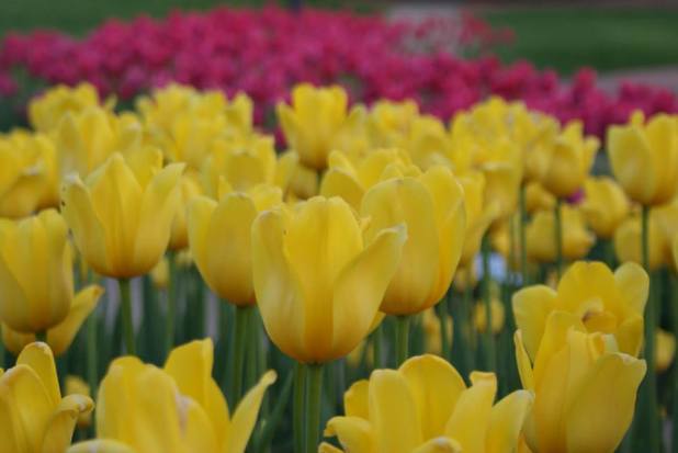 10297856_773403502672725_5886873949981501139_n-1