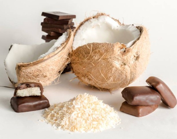 Theo_Chocolate_Coconut_Bites1