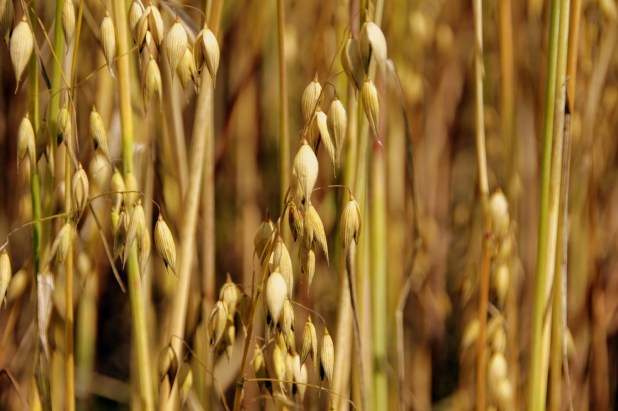 canstockphoto10312861