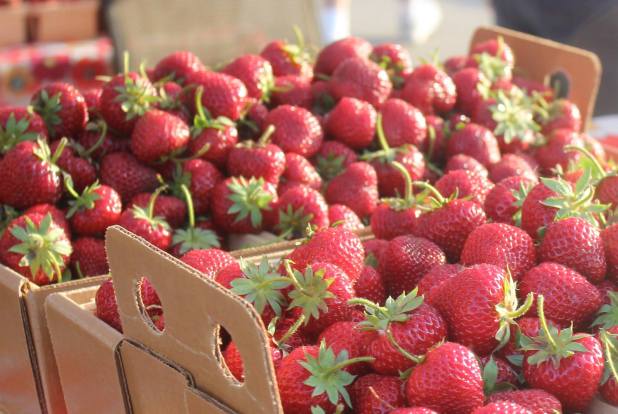 DesMoines_Farmers_Market_Fresh_Strawberries