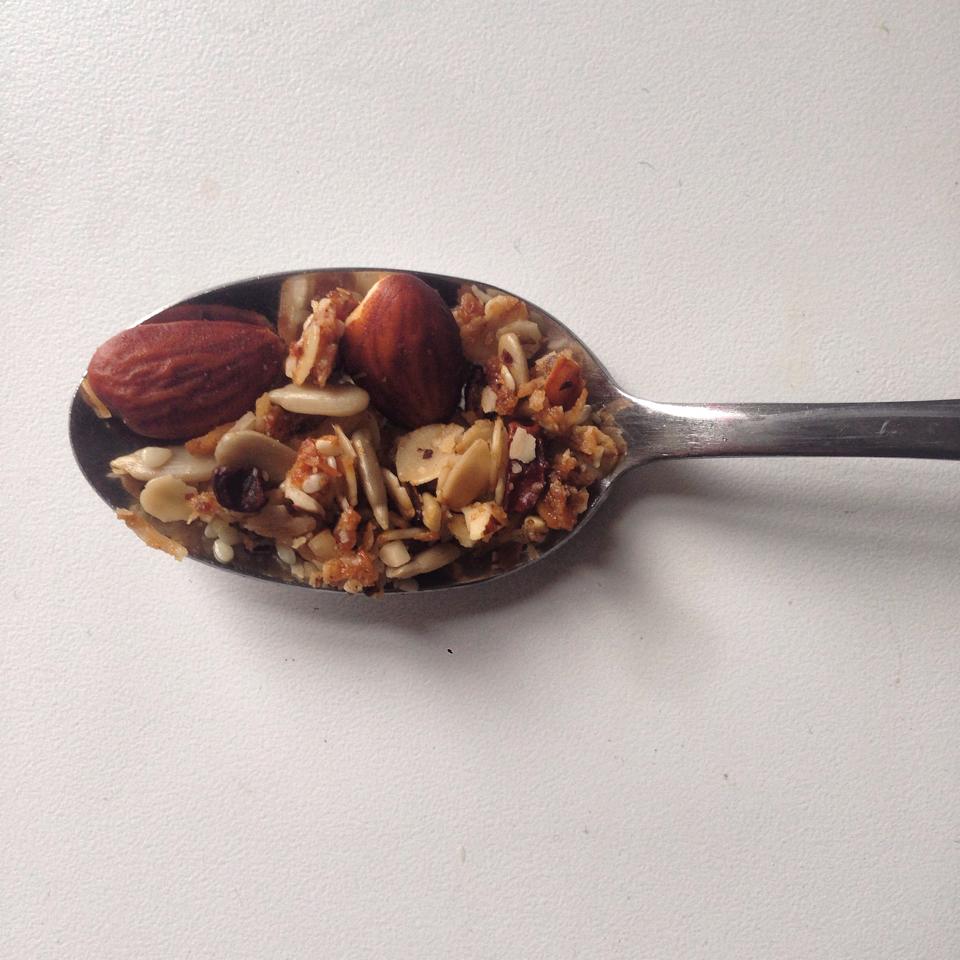 Slipstream Organic Granola Paddock Post