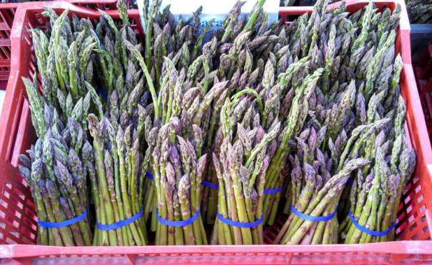 Rhinehart_Asparagus