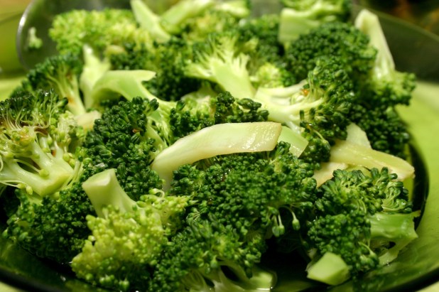 canstockphoto0105284