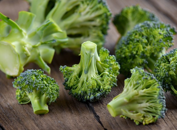 canstockphoto27957728