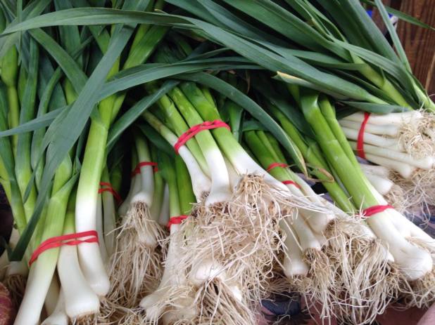 Scallions_Ithaca_Farmer's_Market