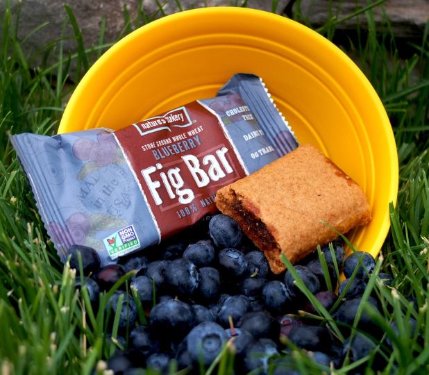 Fig_Bar_Blueberry