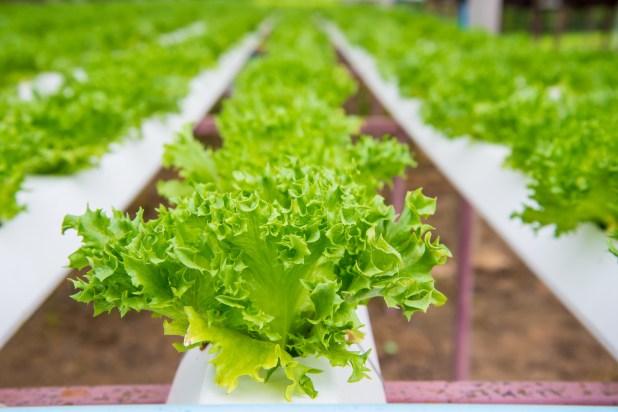 canstockphoto27006969