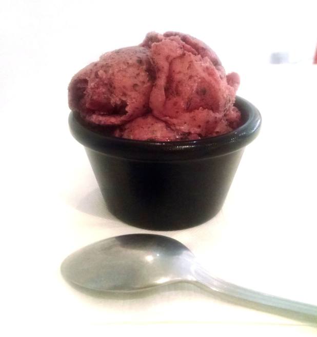 The_Sweet_Spot_Sorbet