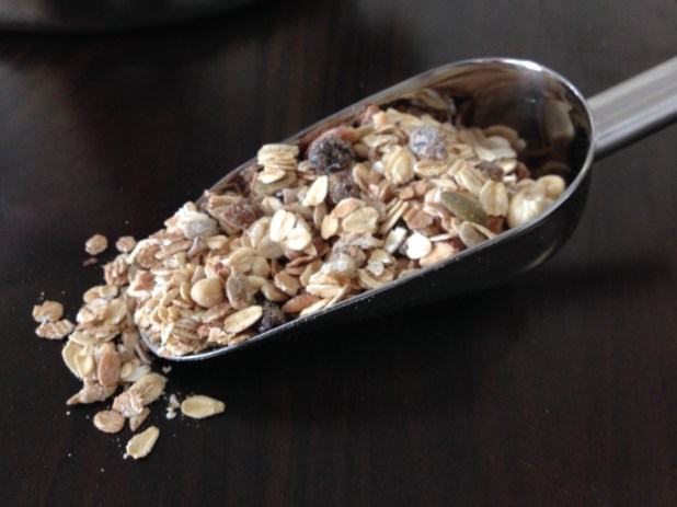 Muesli_Scooped_Paddock_Post