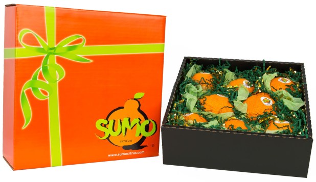 Sumo_Oranges_Gift_Box
