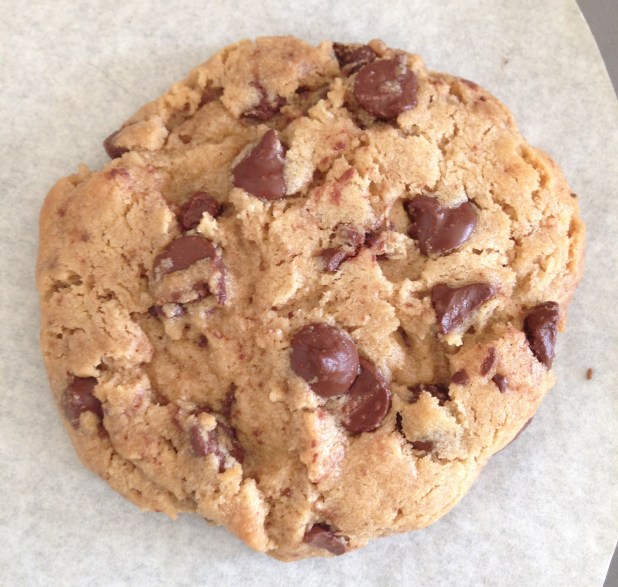 Just_Cookie_Dough_Chocolate_Chip