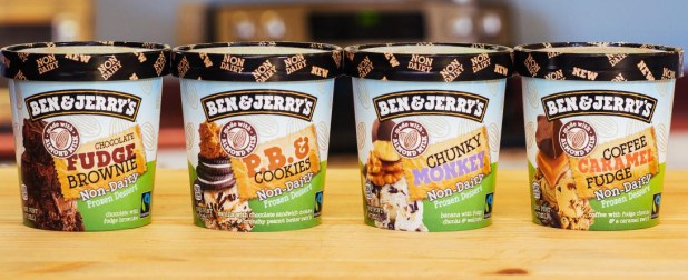 ben-jerrys-non-dairy-ice-cream