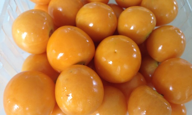 Golden_Berries