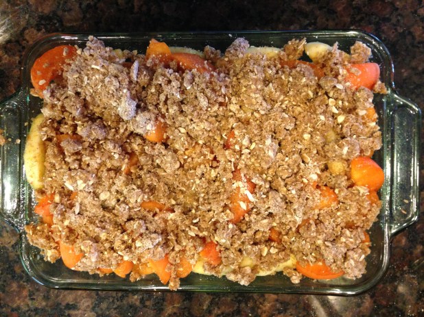 Apricot_Apple_Crisp