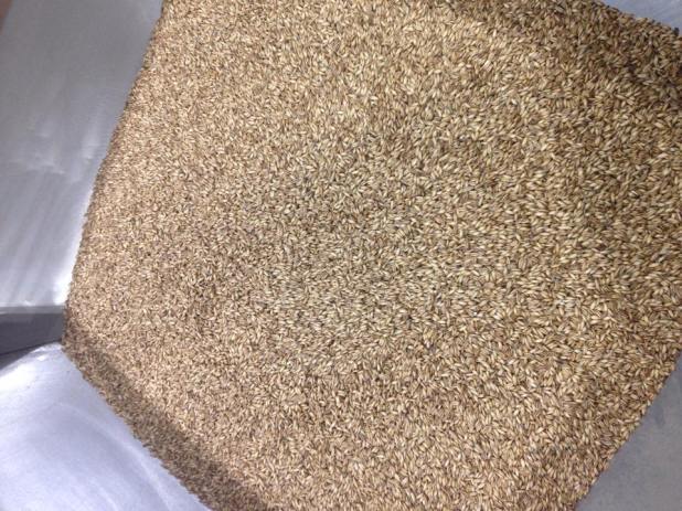 Cayuga_Pure_Organics_Oats