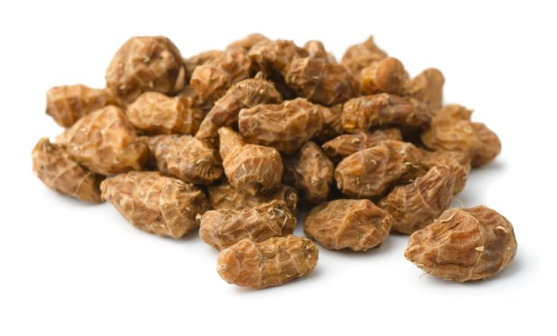 canstockphoto13859794