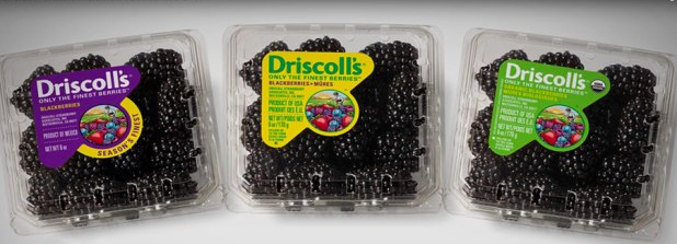 Driscolls_blackberries